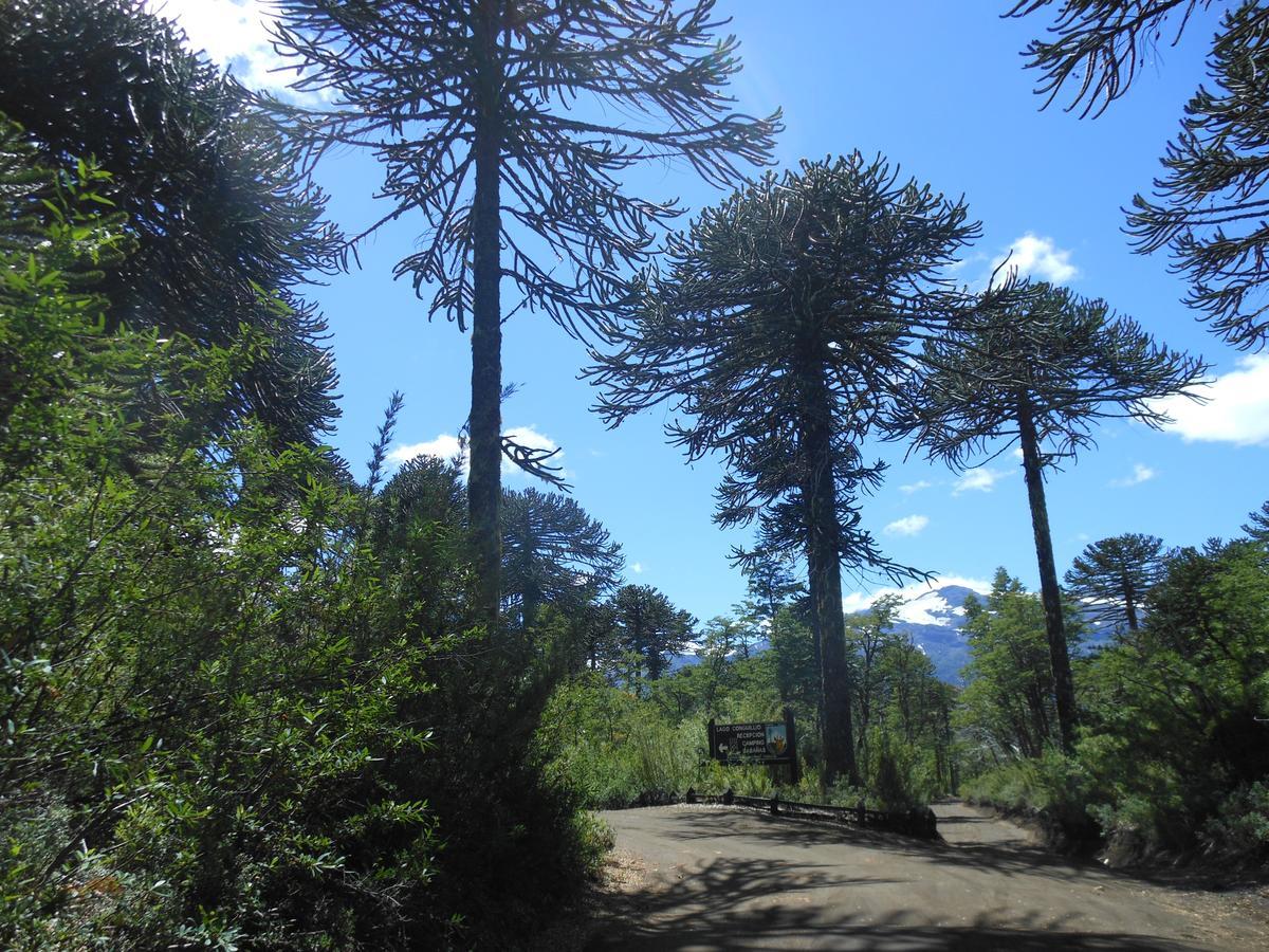 Hotel Estacion Benedicto Manzanar  Zewnętrze zdjęcie